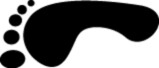 Metatomical Footbed Design